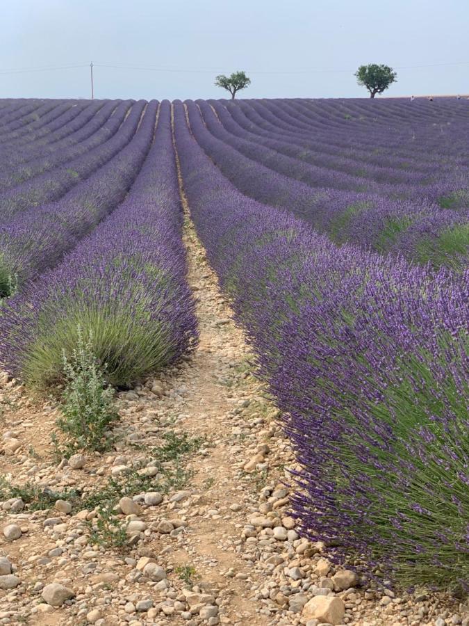 Appart hôtel Nuitee En Provence 2 *